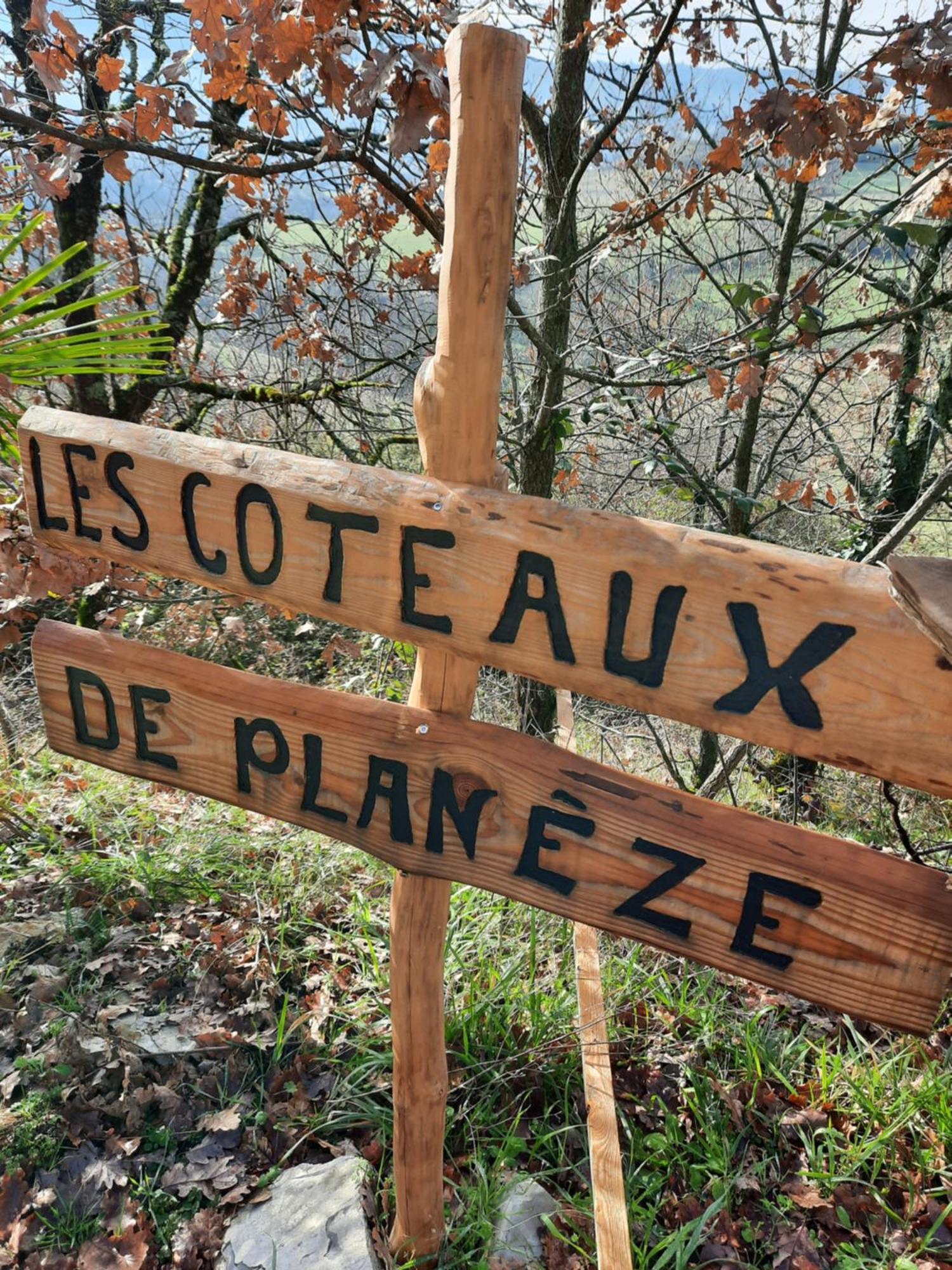 Les Coteaux De Planeze, Maison Et Jardin Dans Le Lot! Chambres Chez L'Habitant! Belmont-Bretenoux 外观 照片